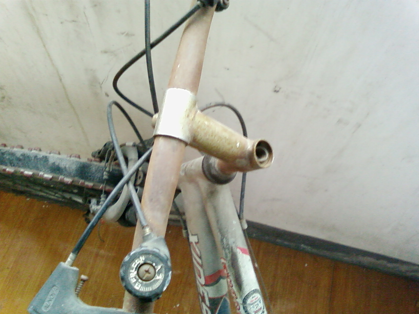SP_A0699.jpg