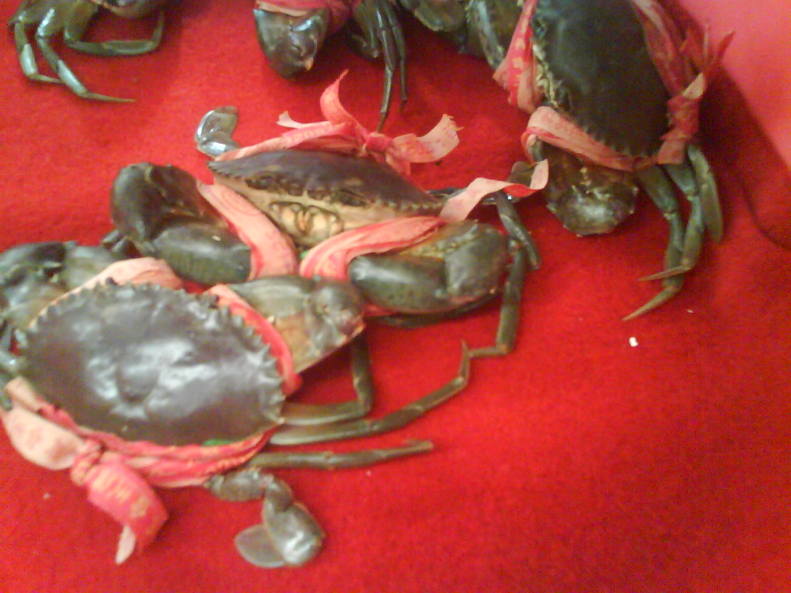 DSC01108.JPG