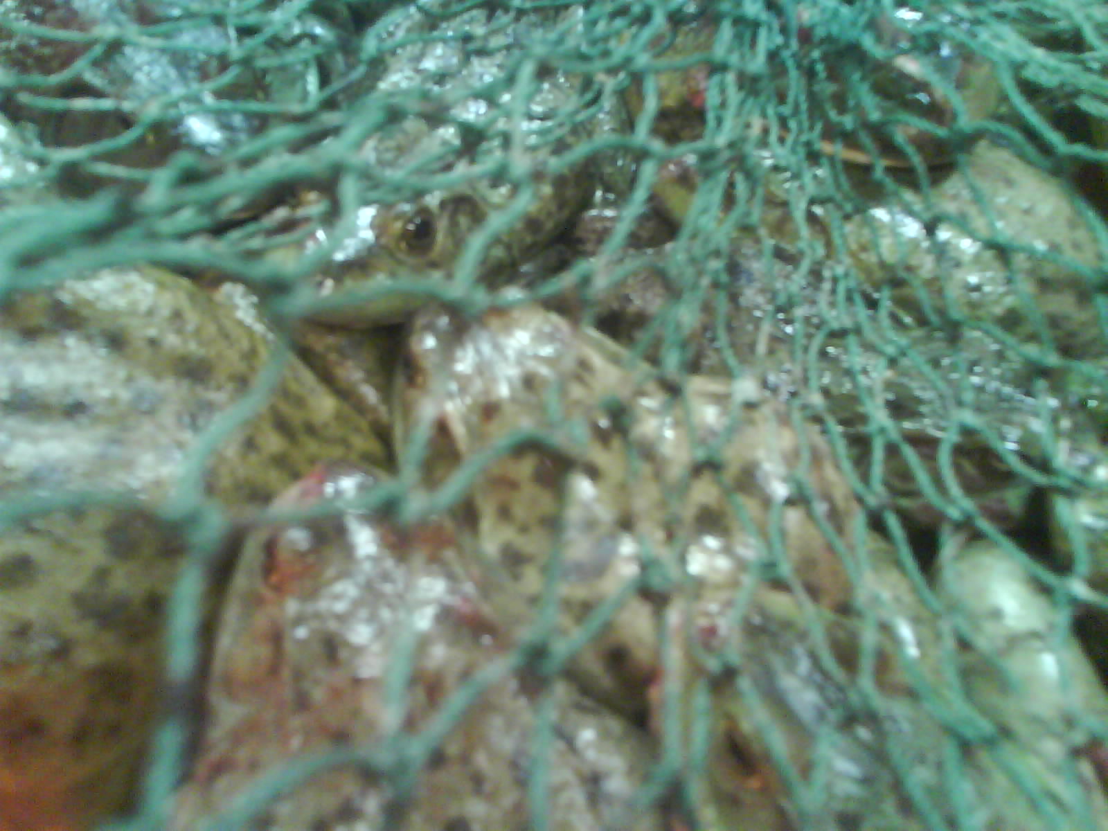 DSC01109.JPG