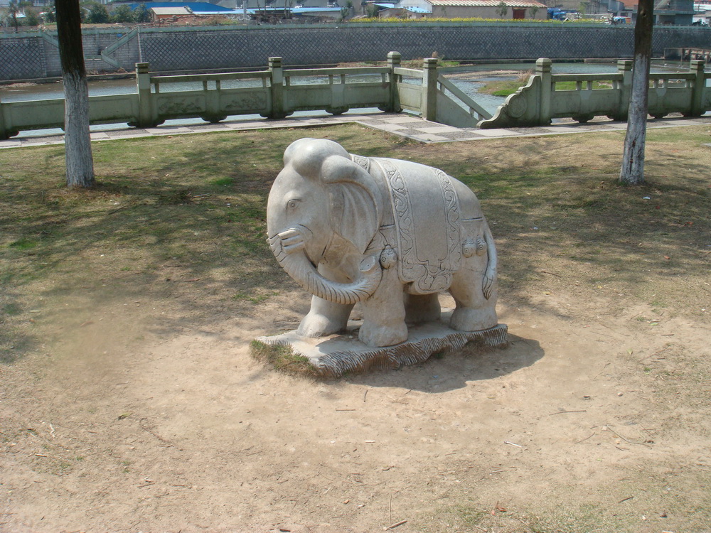 小象.jpg