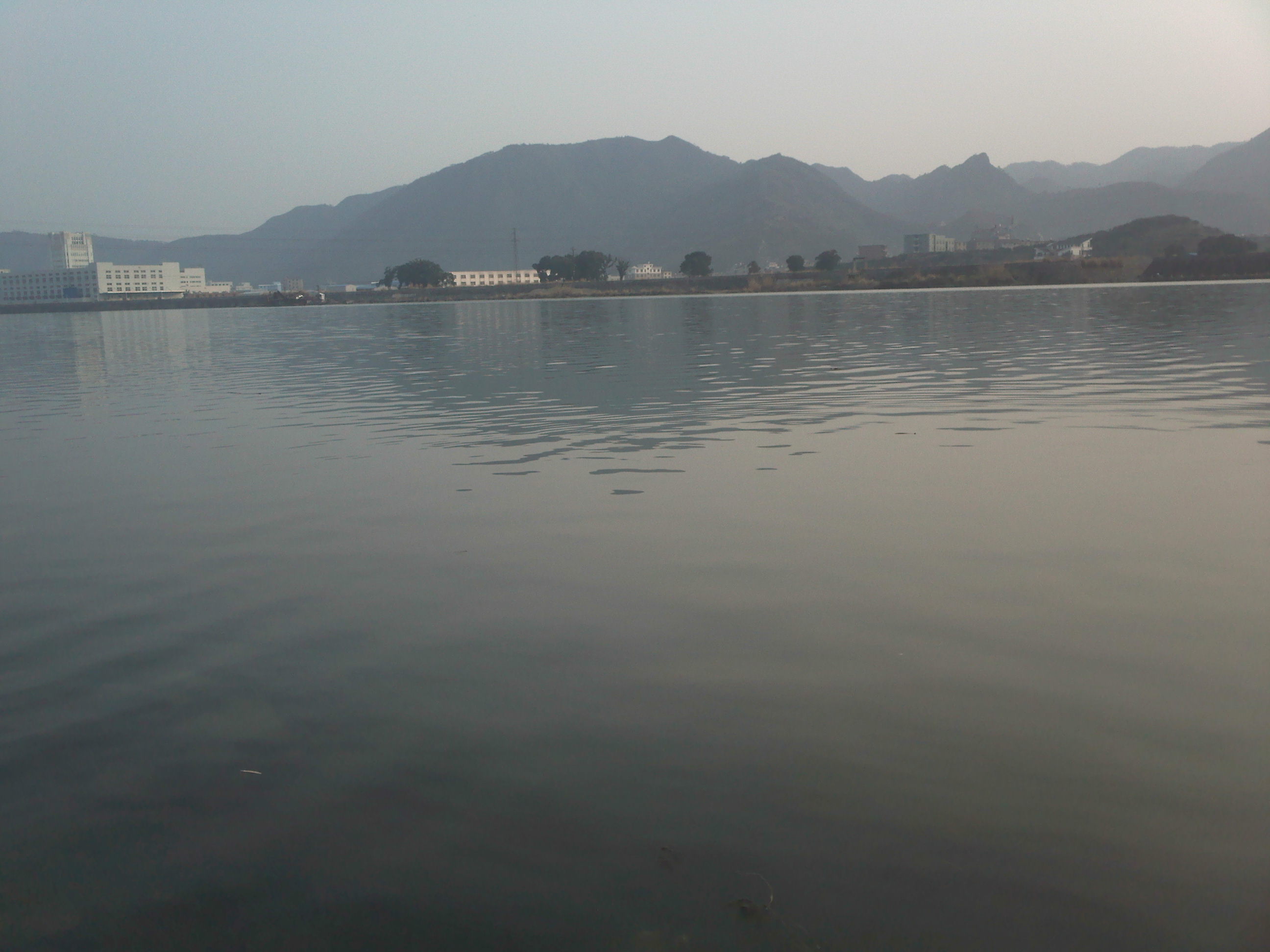 IMG125.jpg