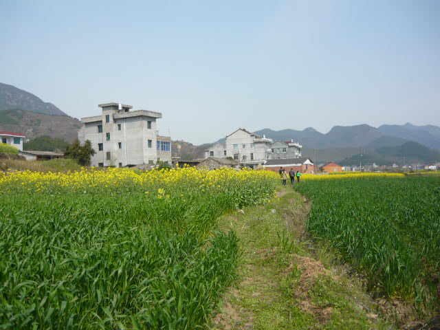 63.jpg