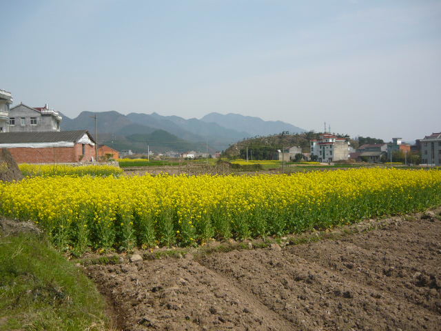 64.jpg