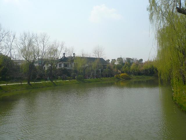 15.JPG
