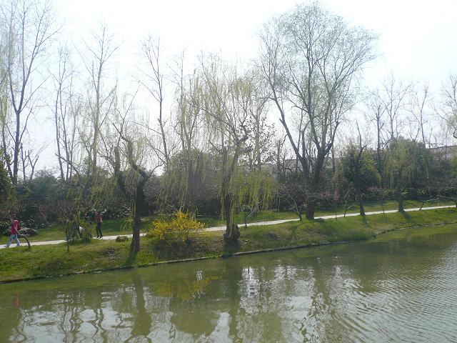 16.JPG