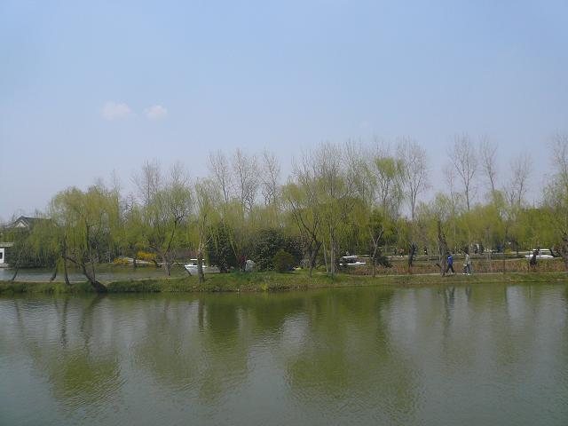 17.JPG