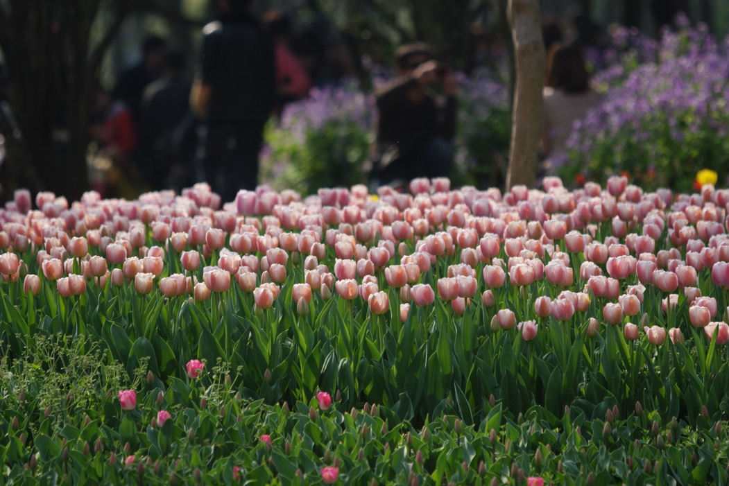 IMG_1390_调整大小.jpg