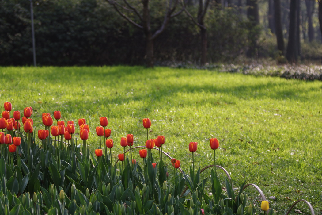 IMG_1448_调整大小.jpg