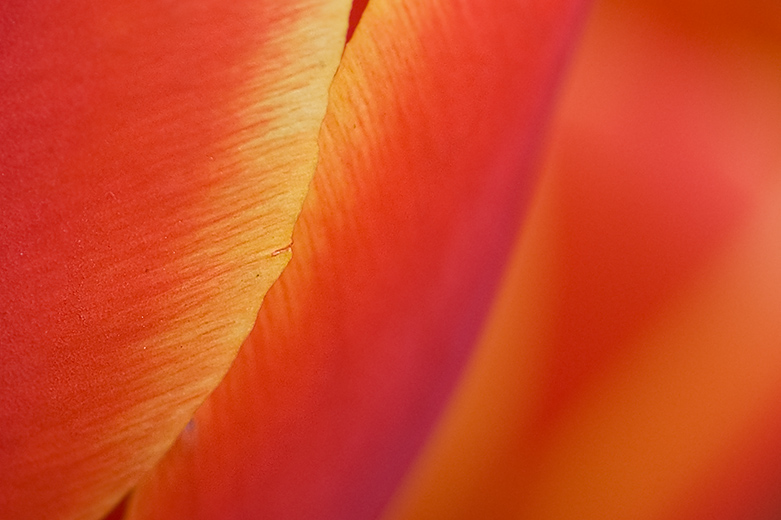 _DSC5106-9.jpg