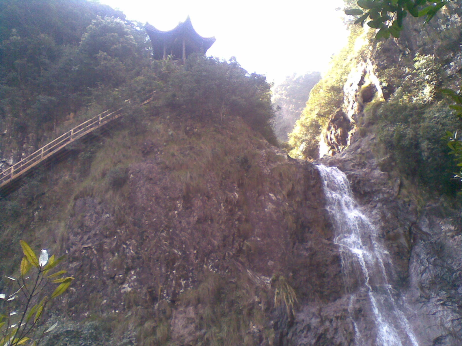 照片 009.jpg