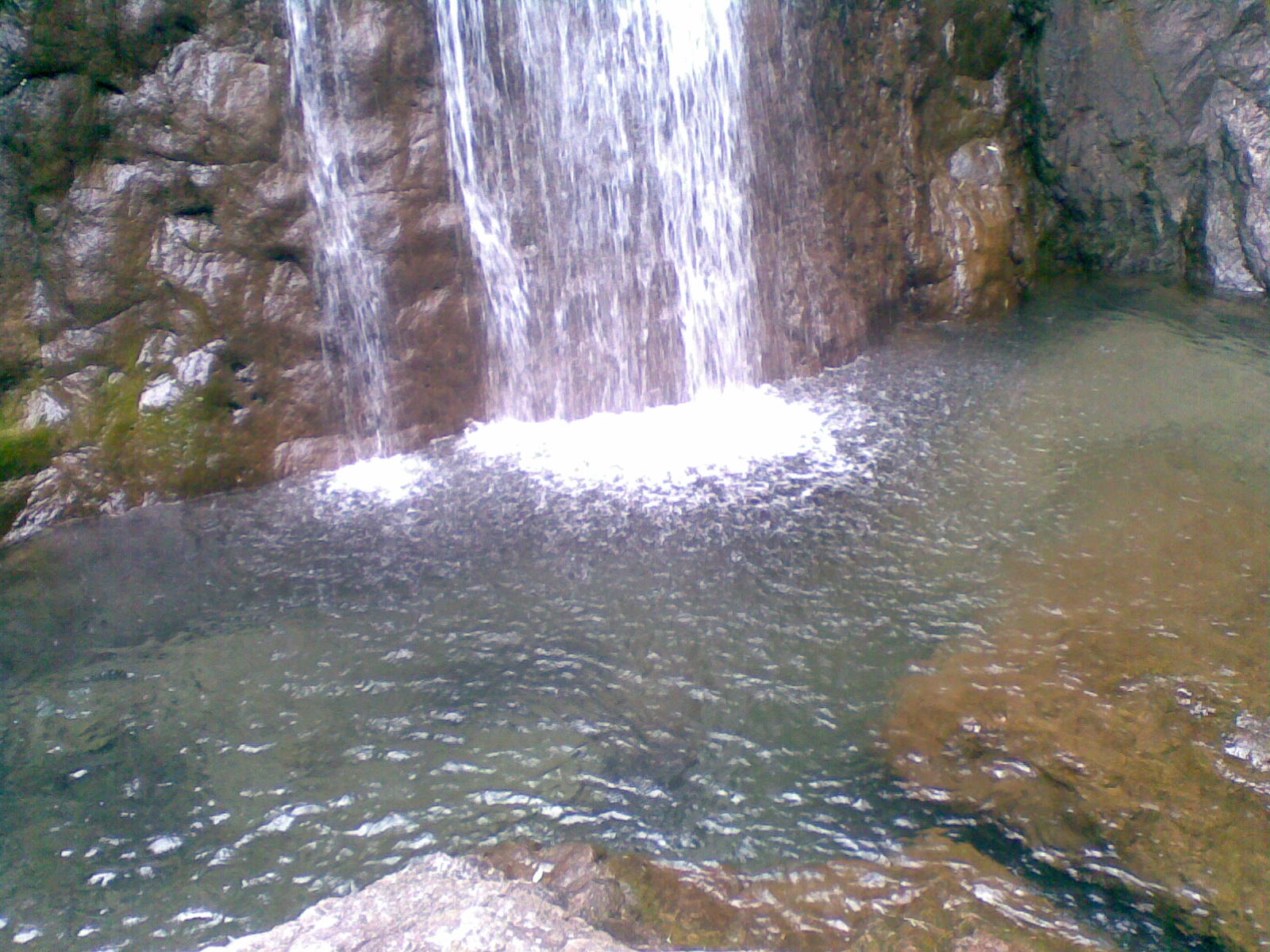 照片 010.jpg