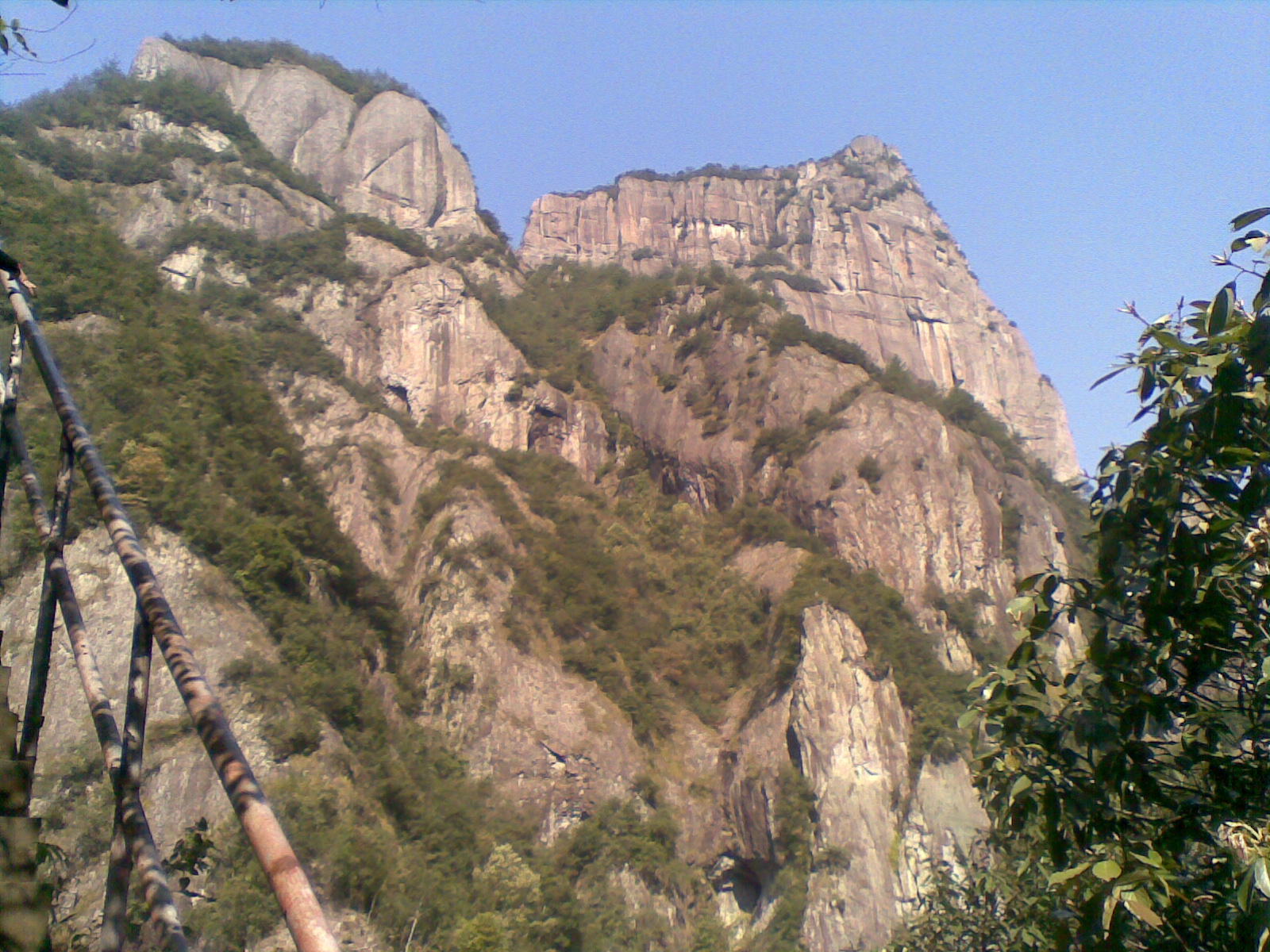 照片 015.jpg