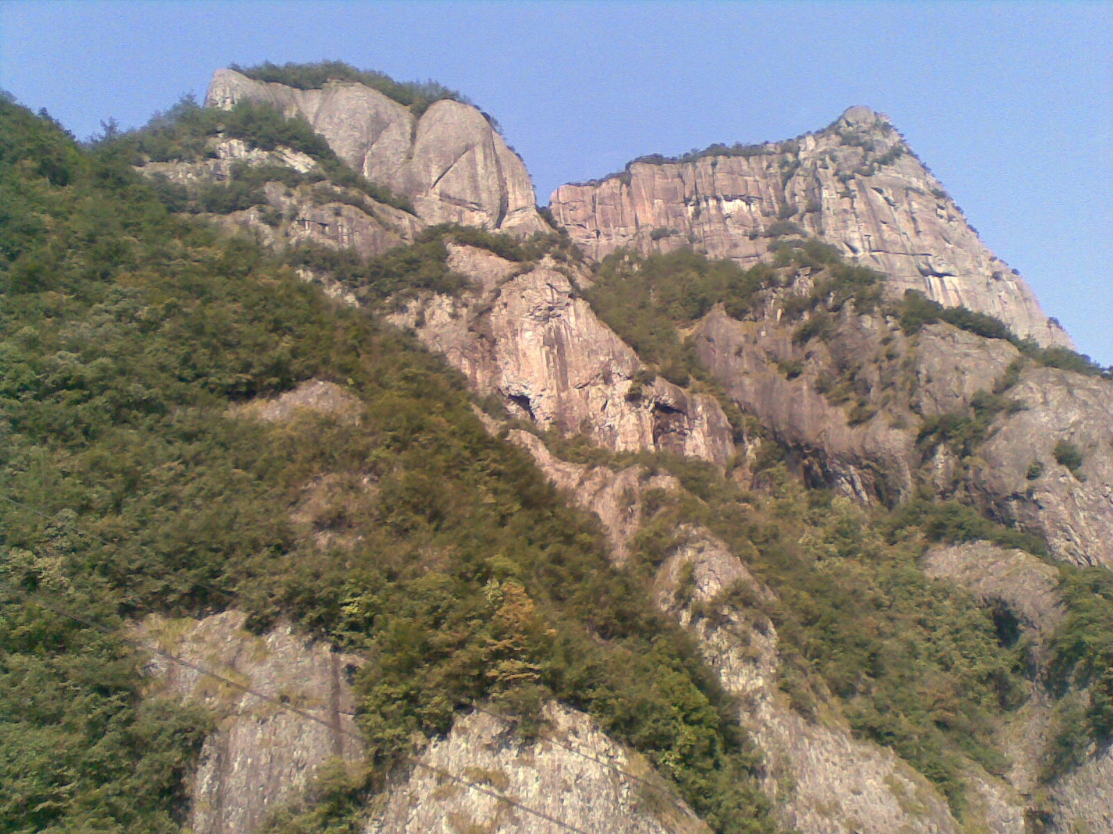 照片 018.jpg