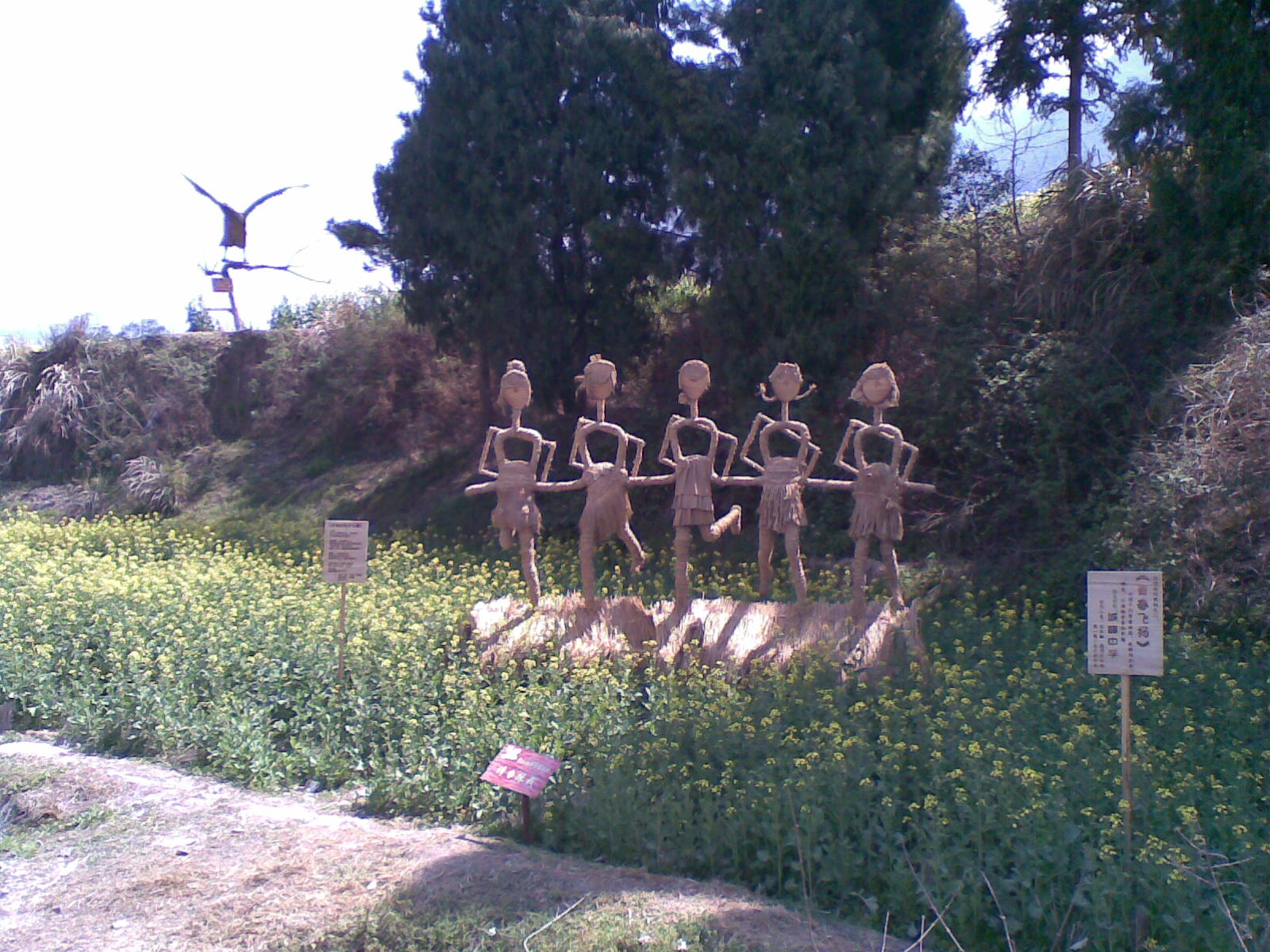 照片 041.jpg