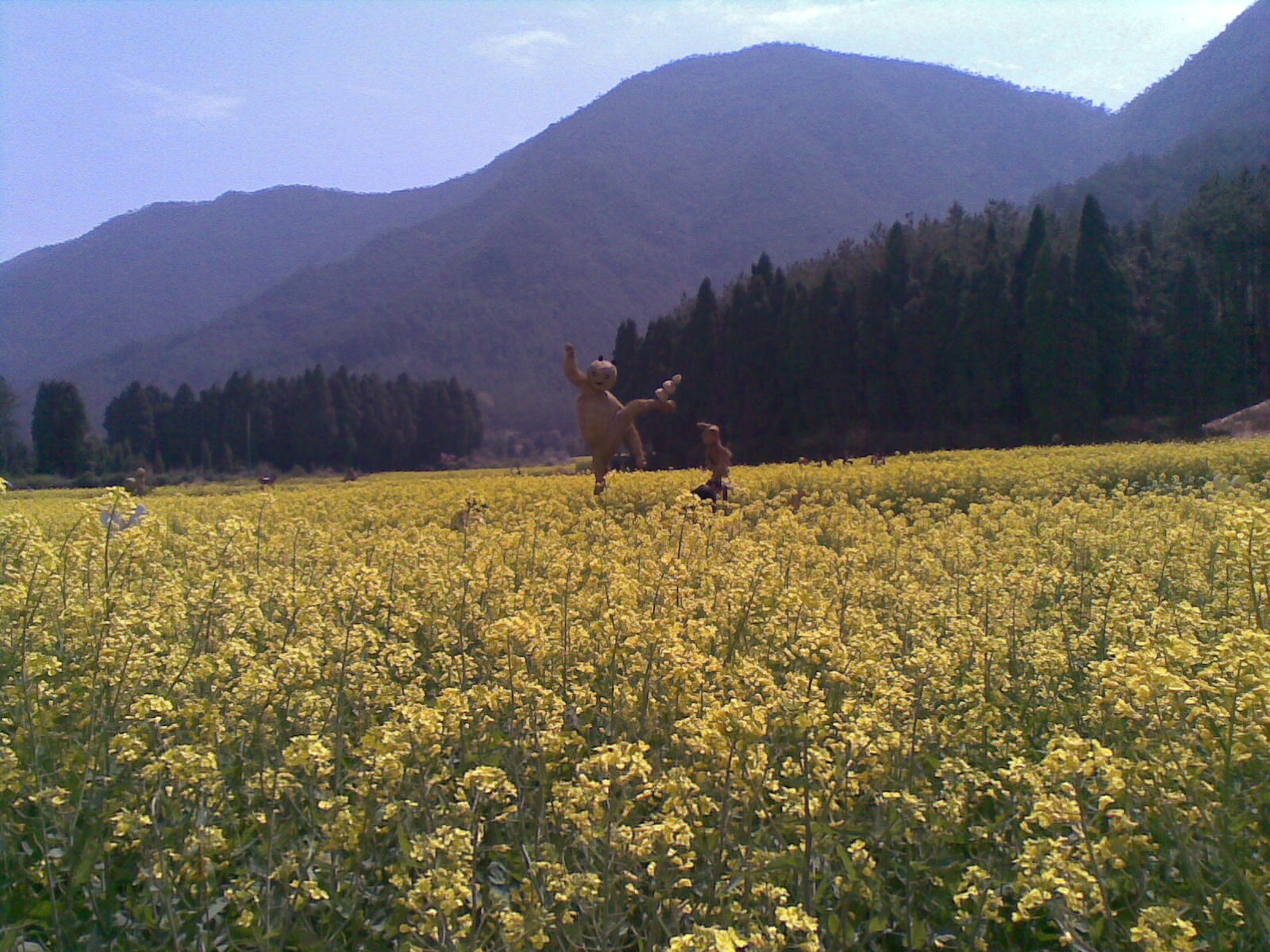 照片 063.jpg