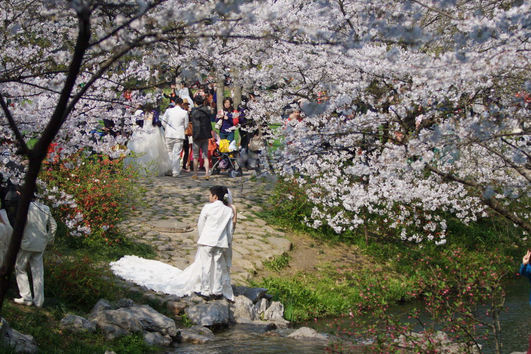 IMG_1300_调整大小.jpg