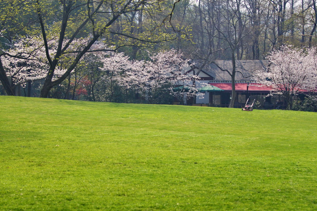 IMG_1313_调整大小.jpg