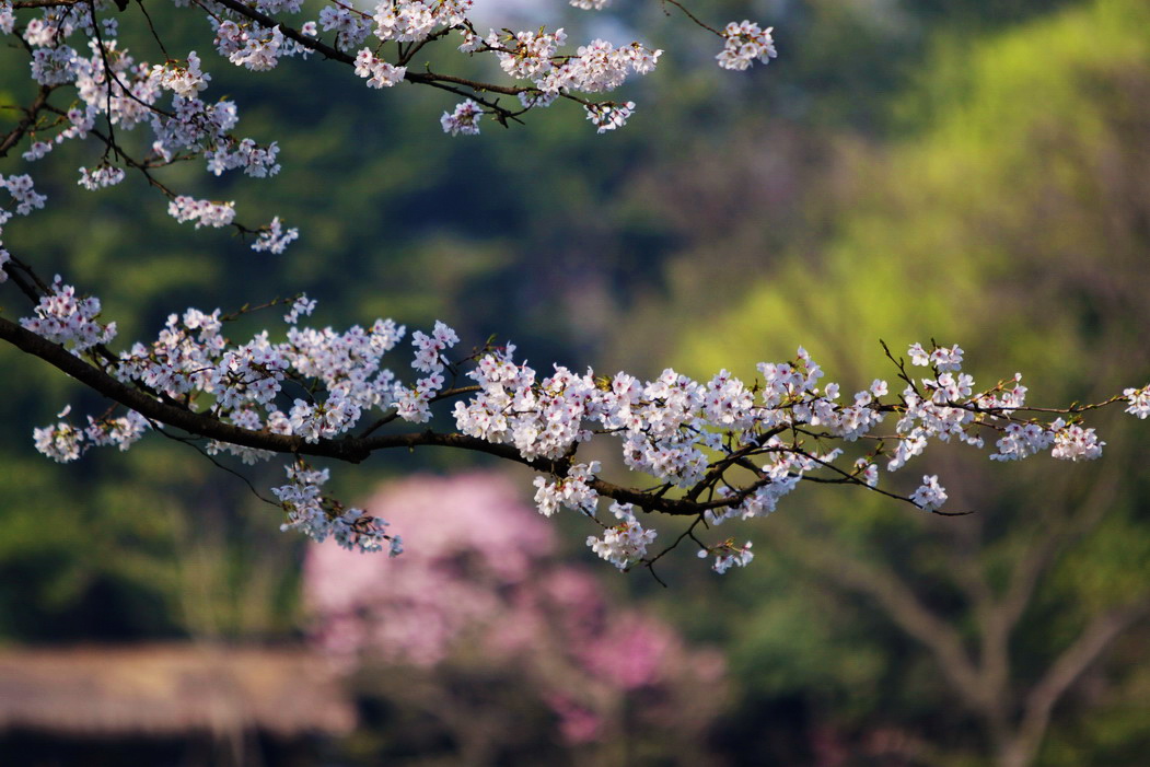 IMG_1443_调整大小.jpg