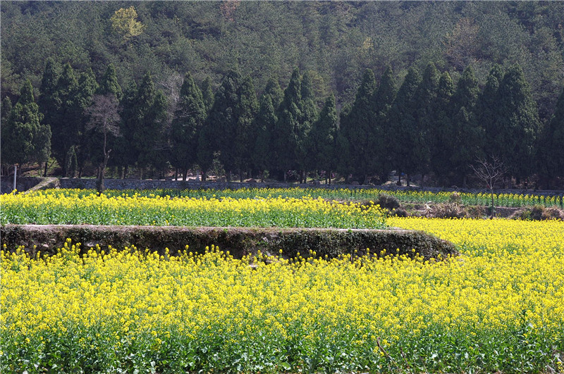 DSC_0141_副本.jpg