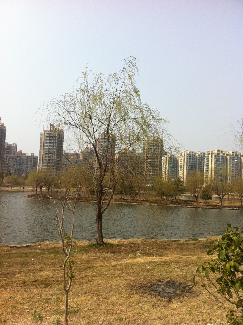 照片 041.jpg