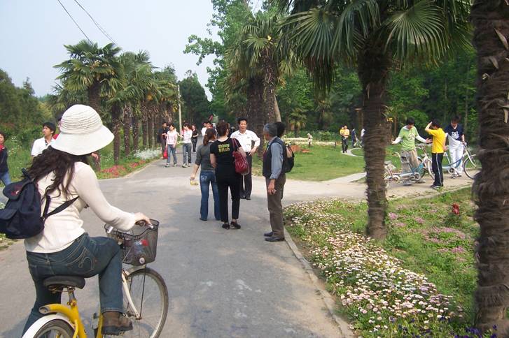 08236395.jpg