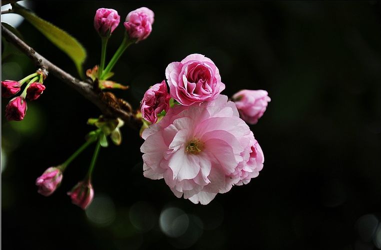a9312908_s.jpg