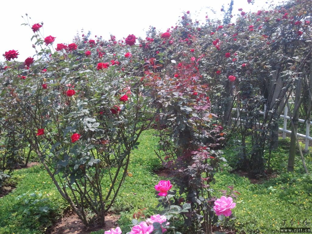 2011-04-09 13.09.29.jpg
