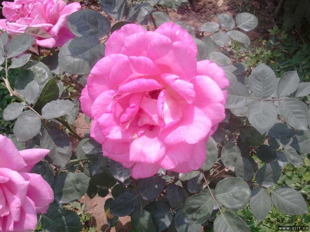 2011-04-09 13.09.54.jpg