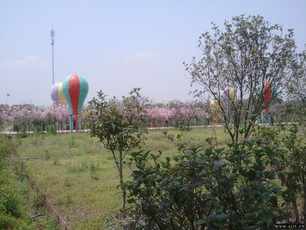 2011-04-09 12.53.17.jpg