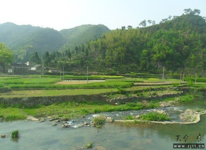 123.jpg