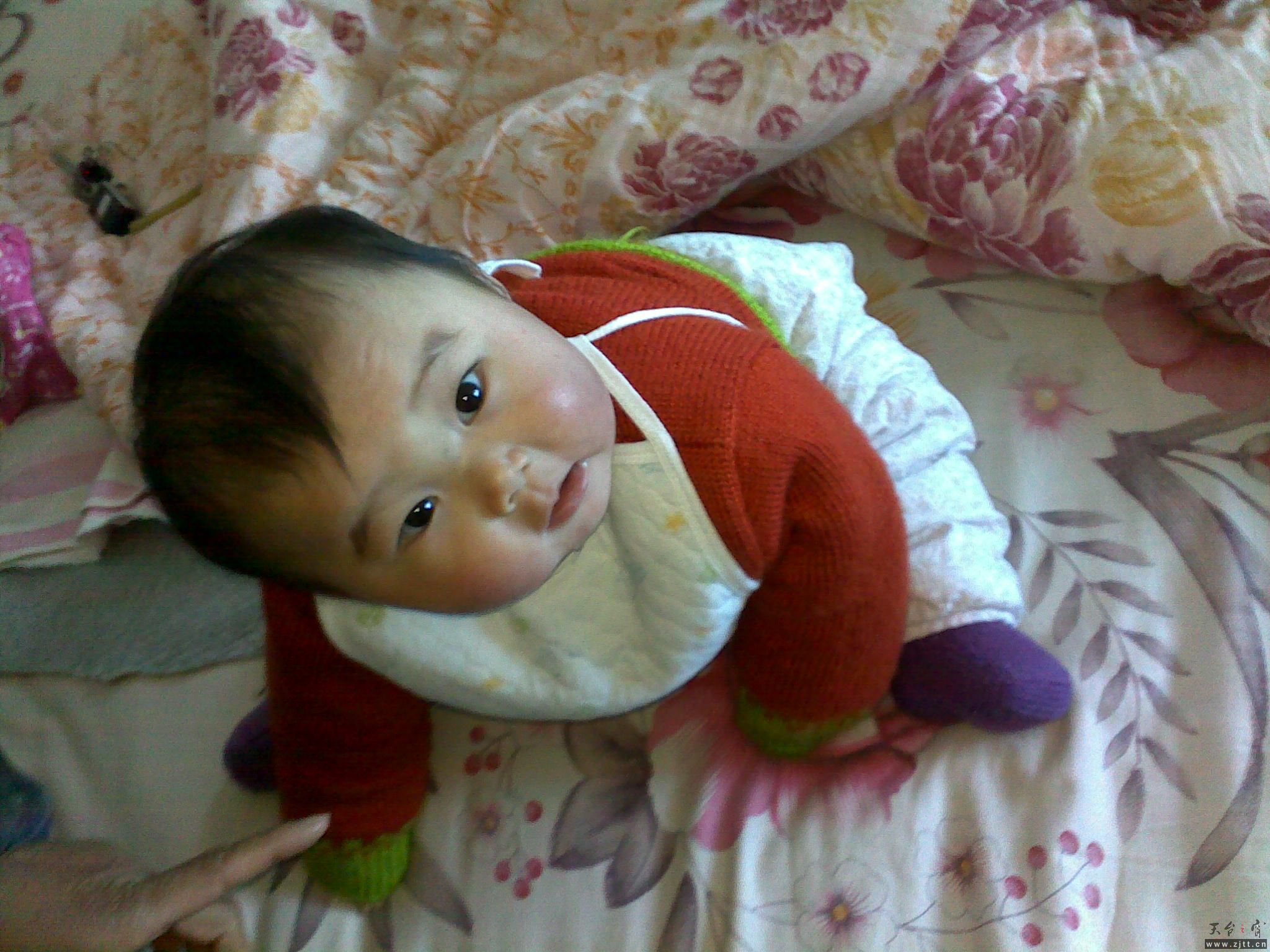 20110405917.jpg