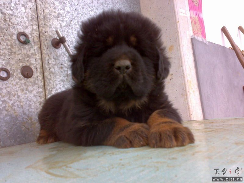 20110414065.jpg
