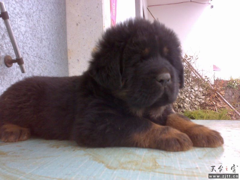 20110414066.jpg
