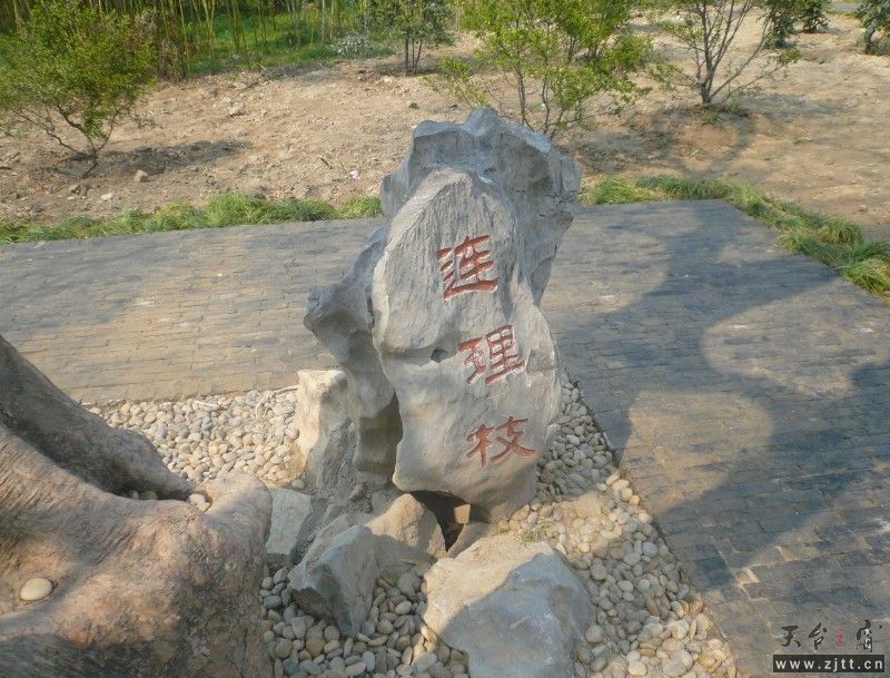 123.jpg
