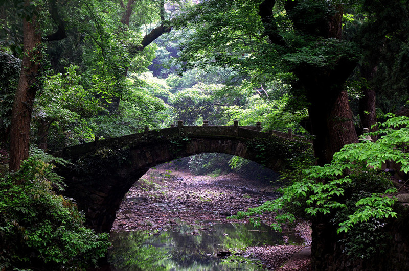 dsc_0071_副本_副本.jpg