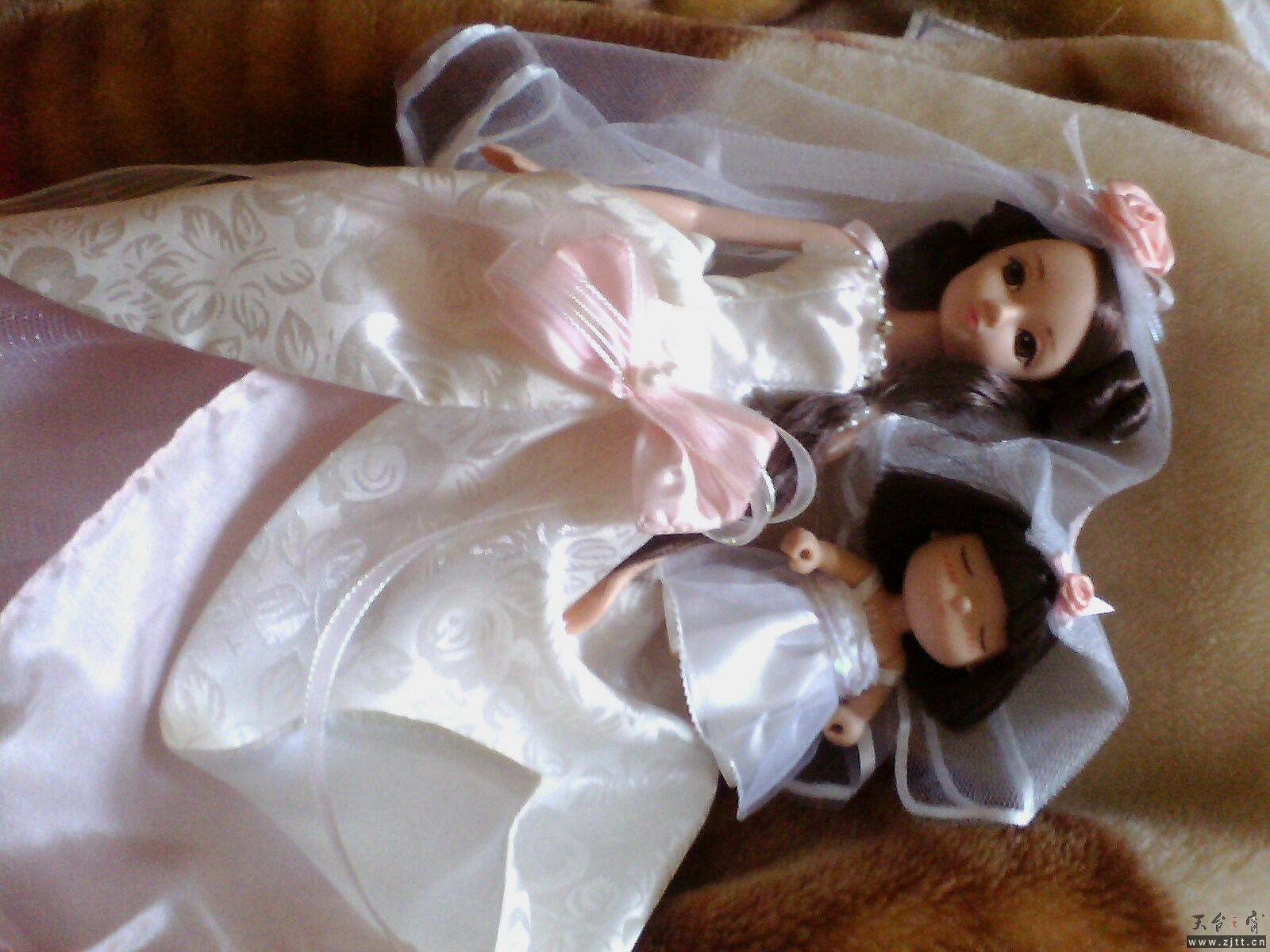 IMG0035A_A.jpg