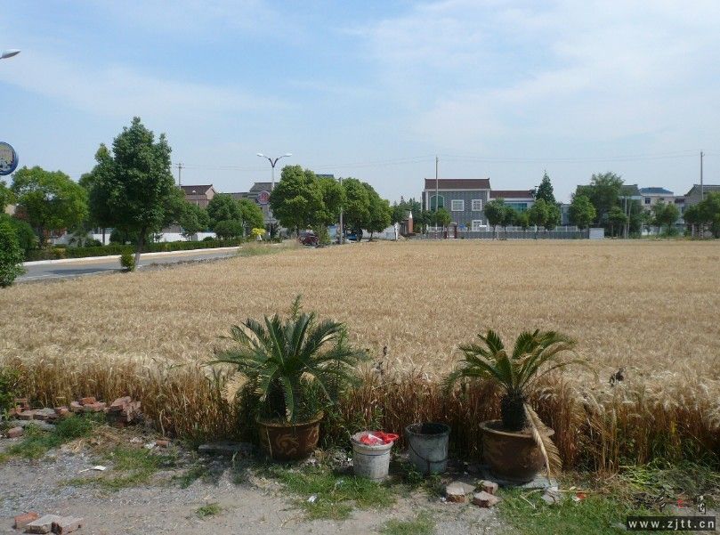 123.jpg