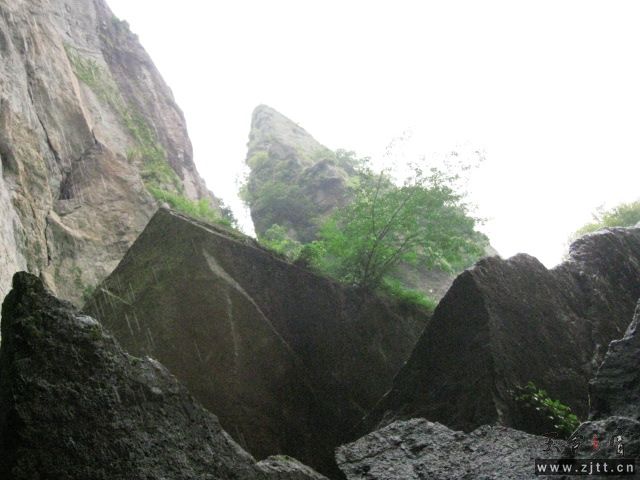IMG_1189.JPG