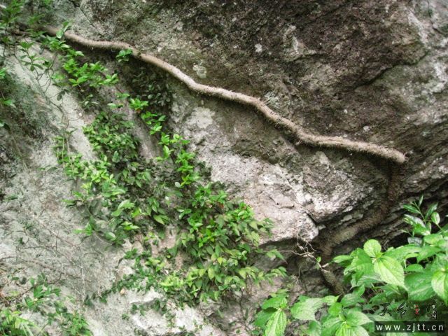 IMG_1178.JPG