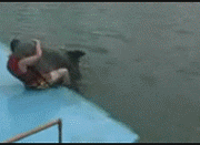123.gif