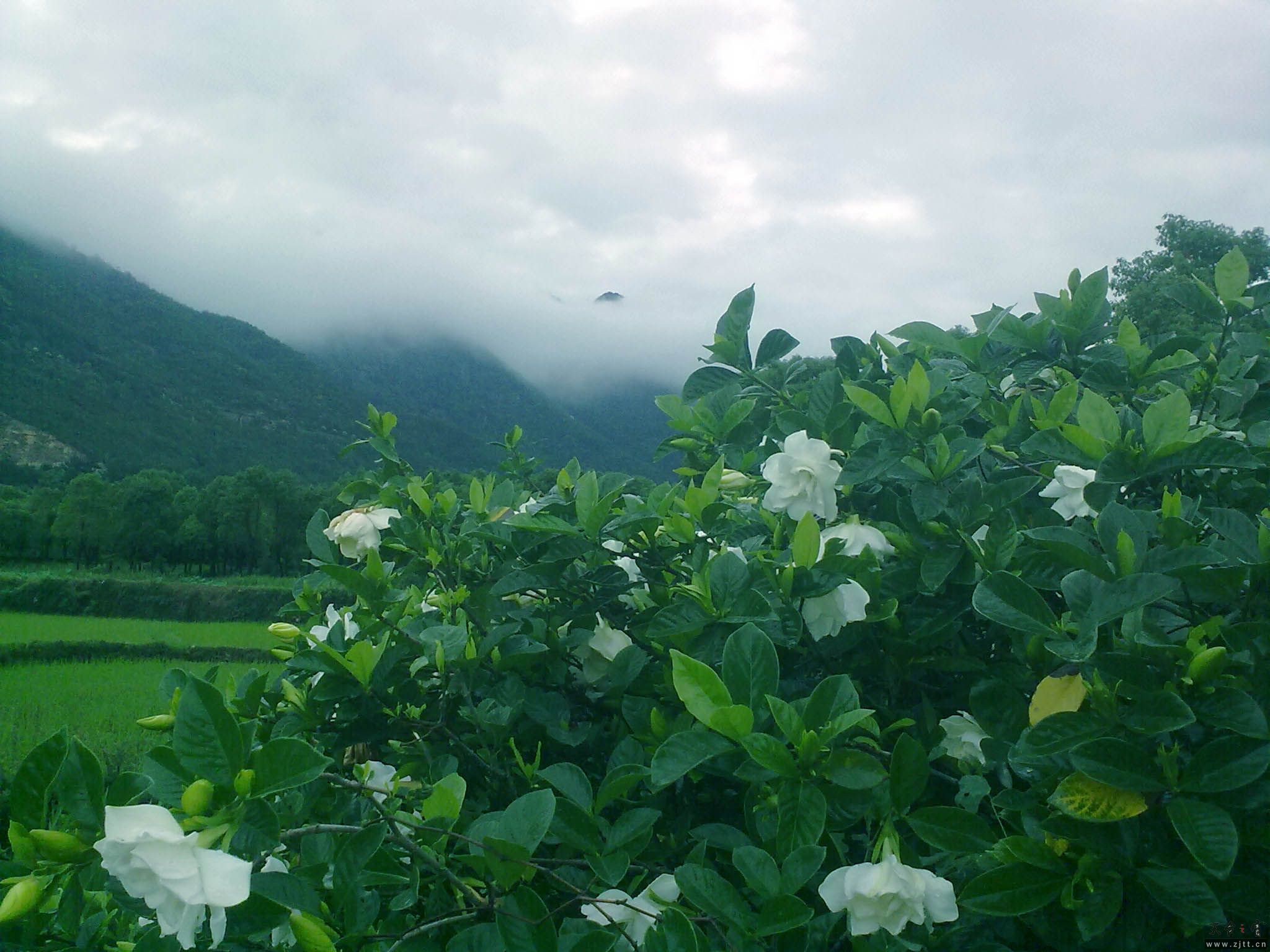 20110619432.jpg