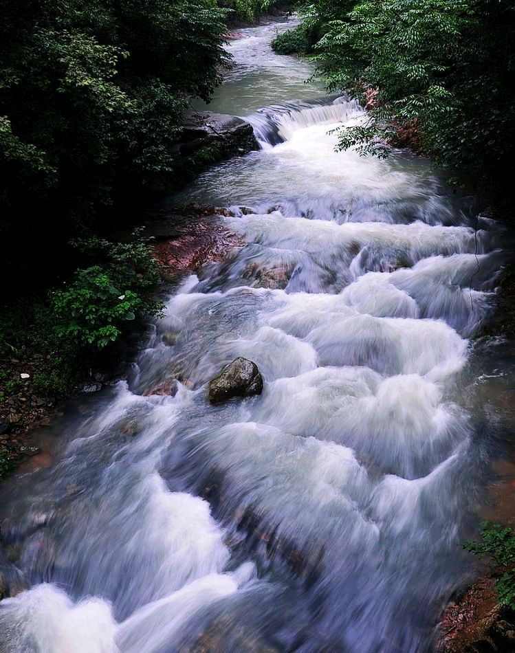 DSC_0036.jpg
