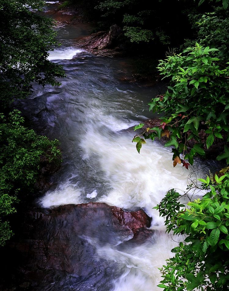 DSC_0040.jpg