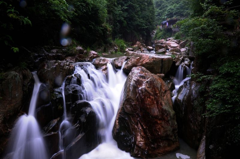 DSC_0080.jpg