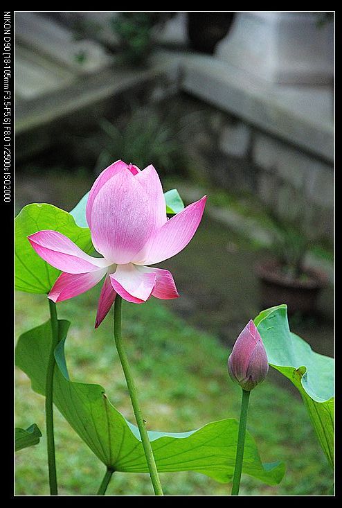 nEO_IMG_DSC_0006.jpg
