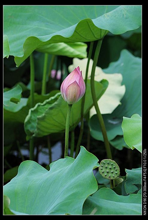 nEO_IMG_DSC_0061.jpg