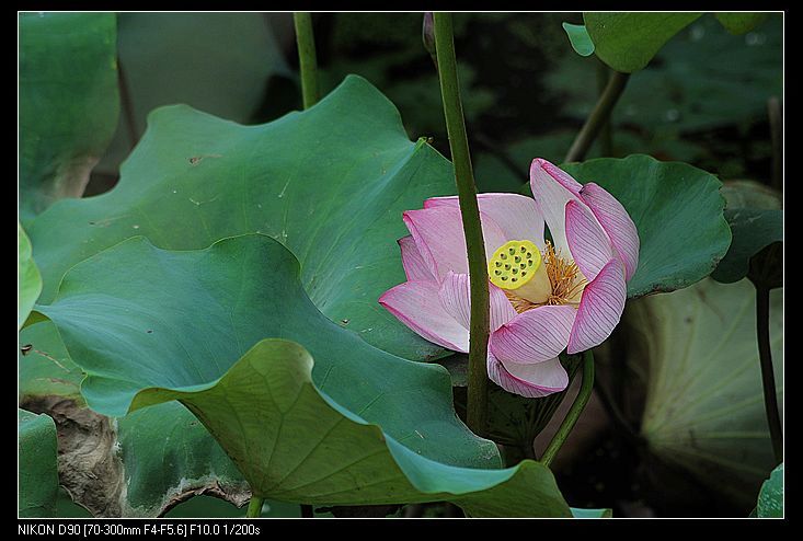 nEO_IMG_DSC_0064.jpg