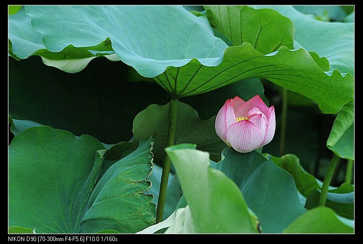 nEO_IMG_DSC_0066.jpg