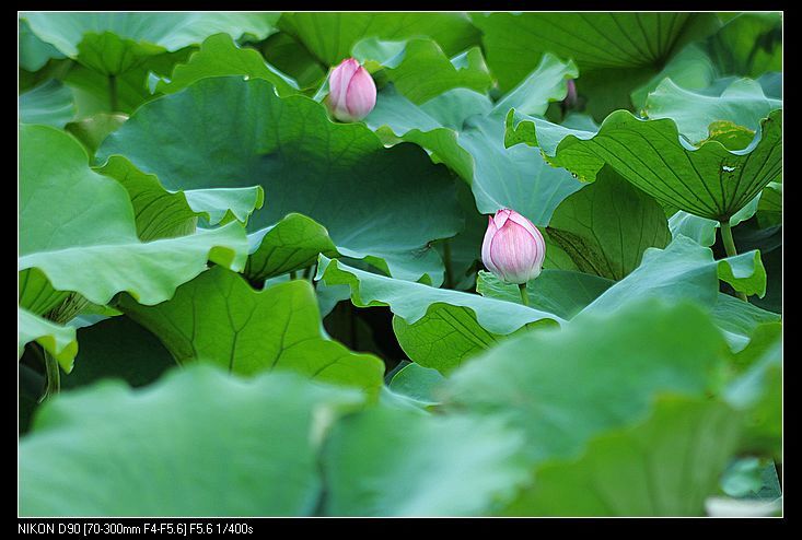 nEO_IMG_DSC_0068.jpg