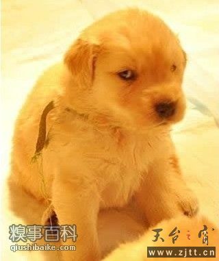 20110705092221275.jpg